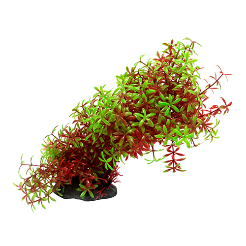 »óǰ ¼¶³×ÀÏ »óǰ ¼¶³×ÀÏ